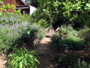 Bridge over a stream