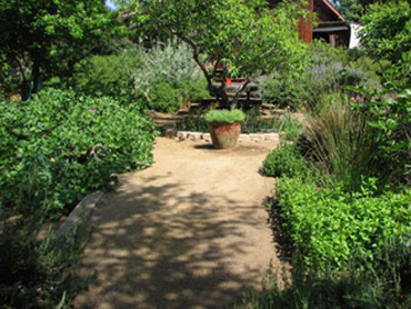 Ceramic pot creates a focal point