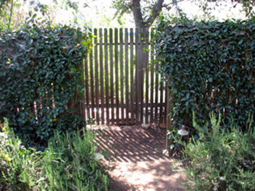 Hidden Chaparral Garden