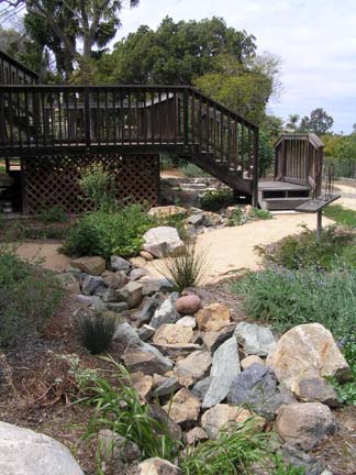 College Area backyard streambed