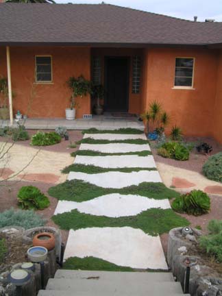 College Area front path