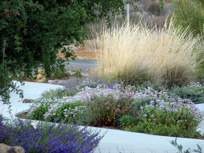 Discovery Nature Center