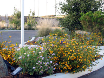 Discovery Nature Center