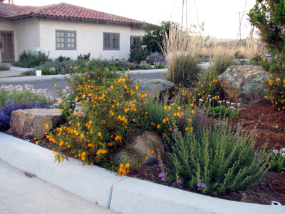 Discovery Nature Center