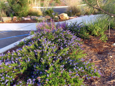 Discovery Nature Center