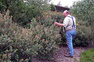 Bigfoot in San Diego!