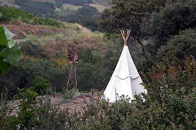 A teepee amid the native landscape