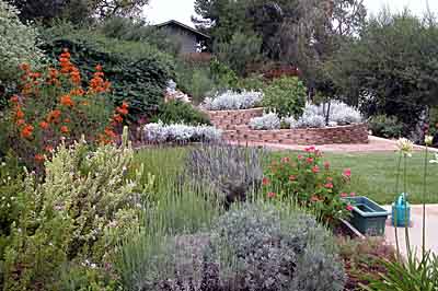Herbs, lawn, and vegetable garden were planted in the higher water zone