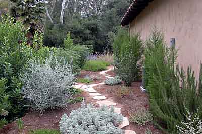 Flagstone path through a woodland garden