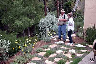 Creeping thyme makes a fragrant groundcover
