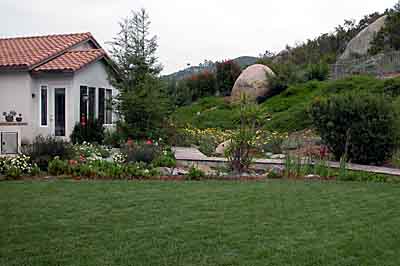View of the back slope and boardwalk