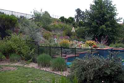 This landscape is less than five years old!