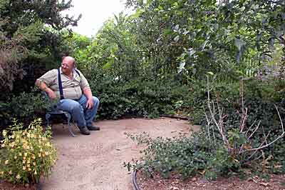 Bigfoot kicks back in a wooded sitting area